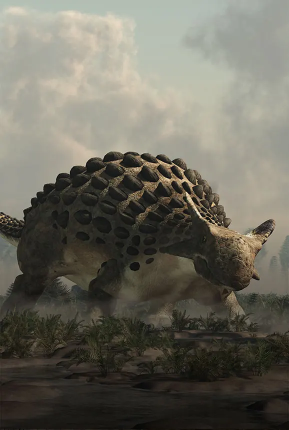 Ankylosaurus