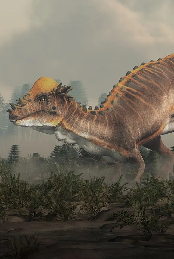 Pachycephalosaurus - Dinos Alive Exhibit Los Angeles - Immersive Experience
