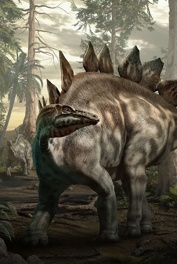 Stegosaurus