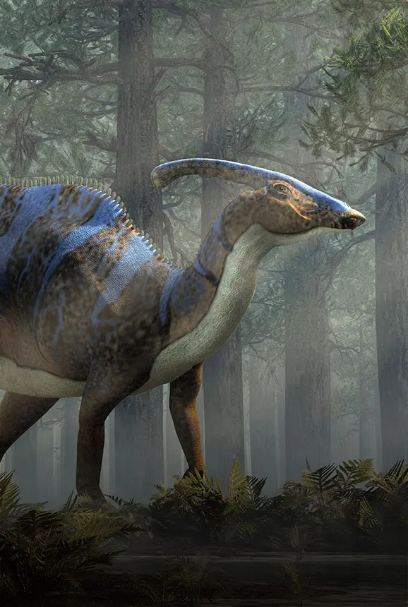 Parasaurolophus